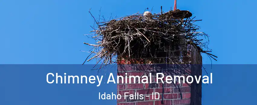 Chimney Animal Removal Idaho Falls - ID