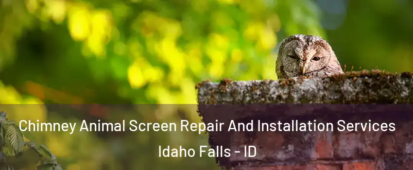  Chimney Animal Screen Repair And Installation Services Idaho Falls - ID