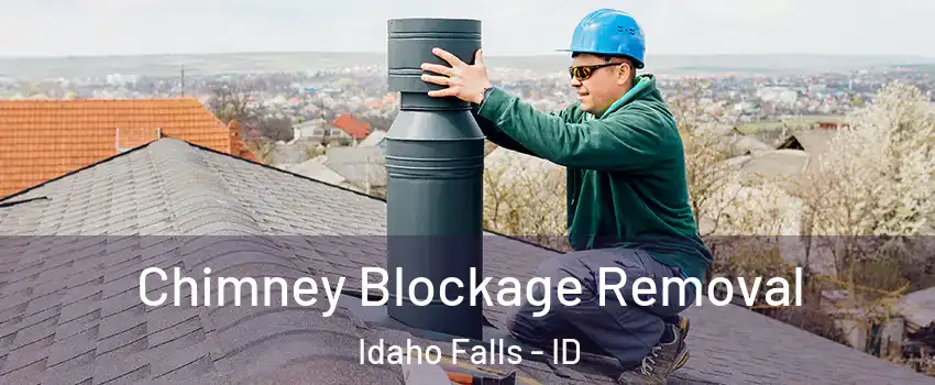 Chimney Blockage Removal Idaho Falls - ID