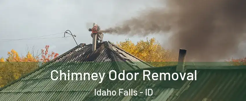  Chimney Odor Removal Idaho Falls - ID