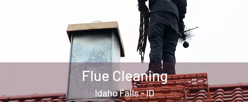  Flue Cleaning Idaho Falls - ID