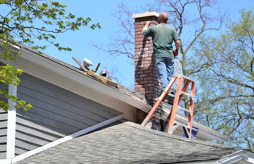 Chimney & Fireplace Inspections Services in Idaho Falls, ID