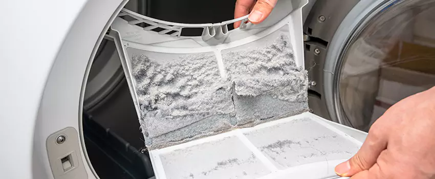 Best Dryer Lint Removal Company in Idaho Falls, Idaho