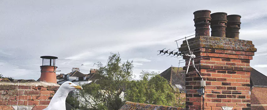 Chimney Cleaning And Restoration in Idaho Falls, Idaho